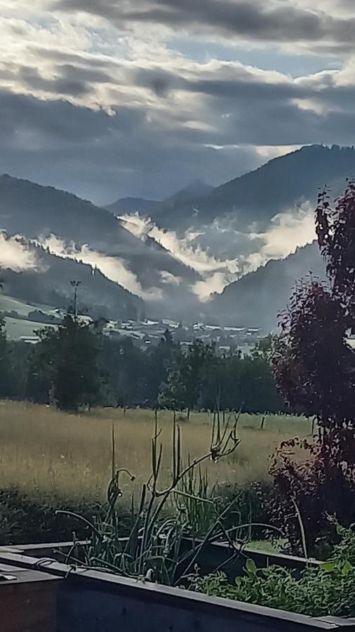 Ferienwohnungen Mooshaeusl Reit im Winkl Buitenkant foto