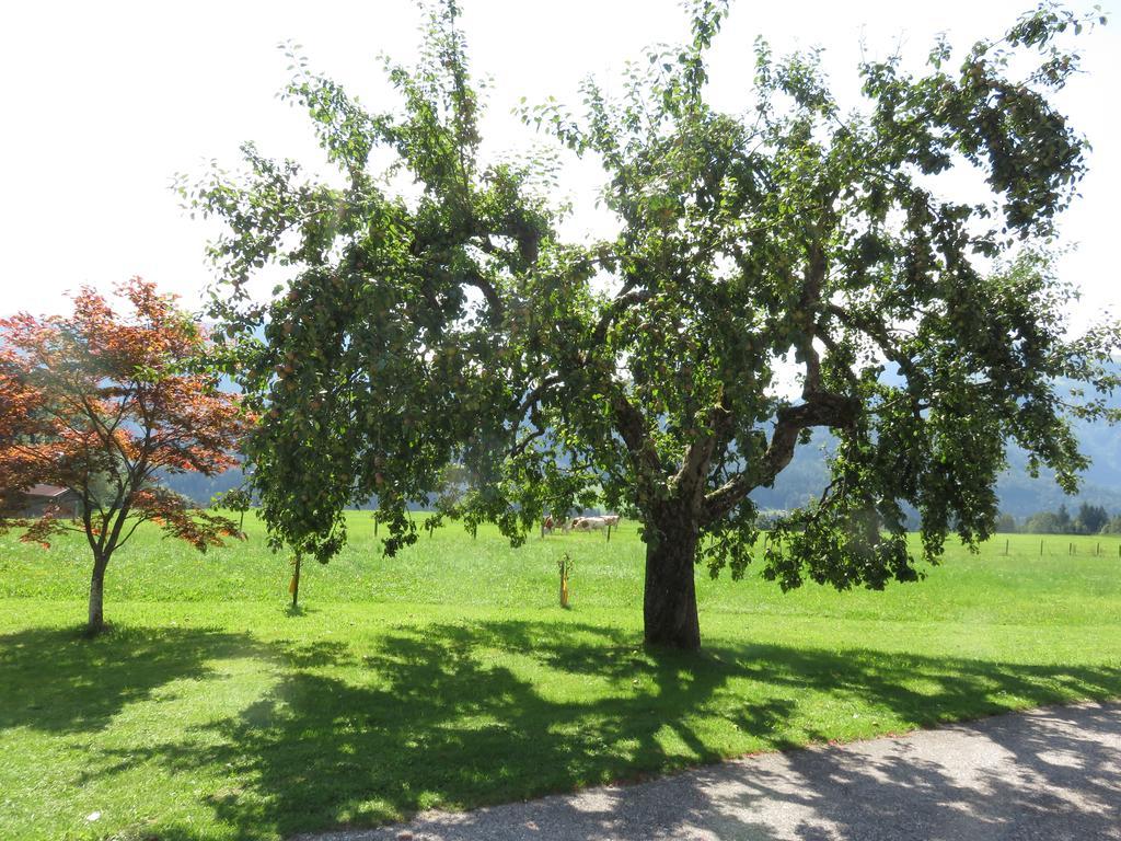 Ferienwohnungen Mooshaeusl Reit im Winkl Buitenkant foto